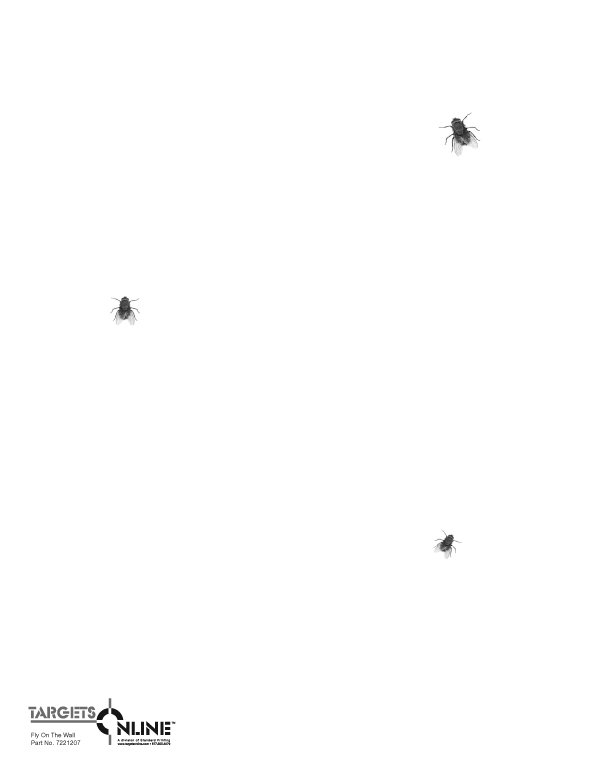 Fly On The Wall - Card Stock - Click Image to Close